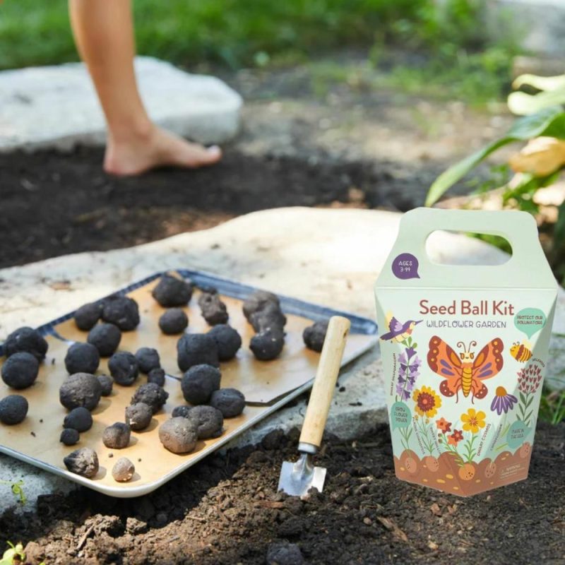 Active Play | Diy Seed Ball Kit Wildflower Garden Active Play Active Play