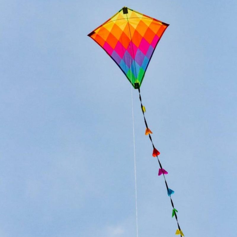 Active Play | Rainbow Patchwork Kite Active Play Active Play