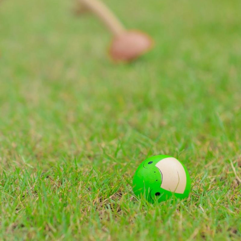 Active Play | Wooden Croquet Set Active Play Active Play