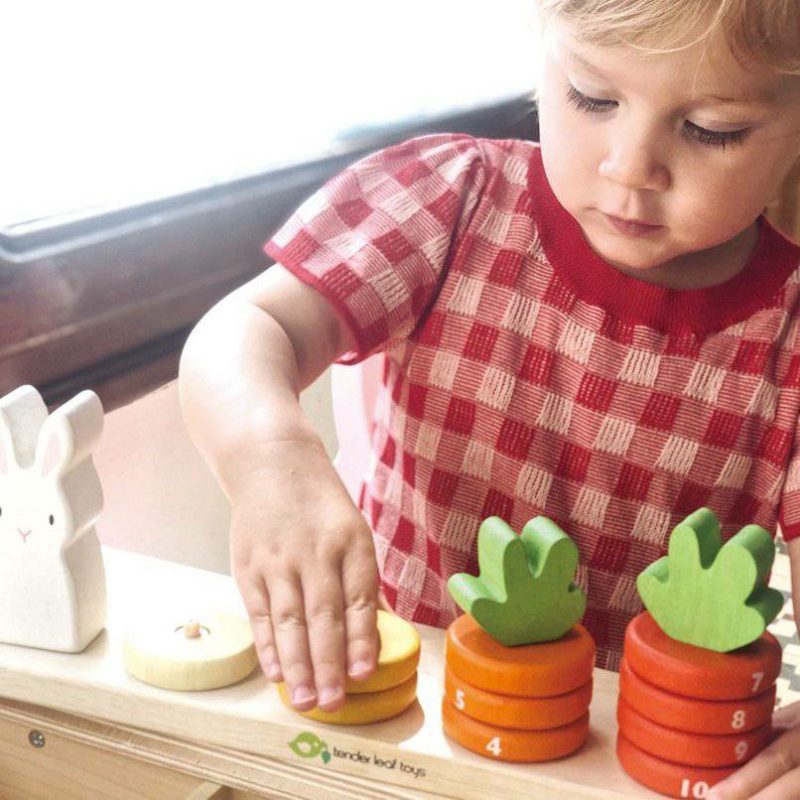 Developmental Toys | Counting Carrots Stacker Developmental Toys Developmental Toys