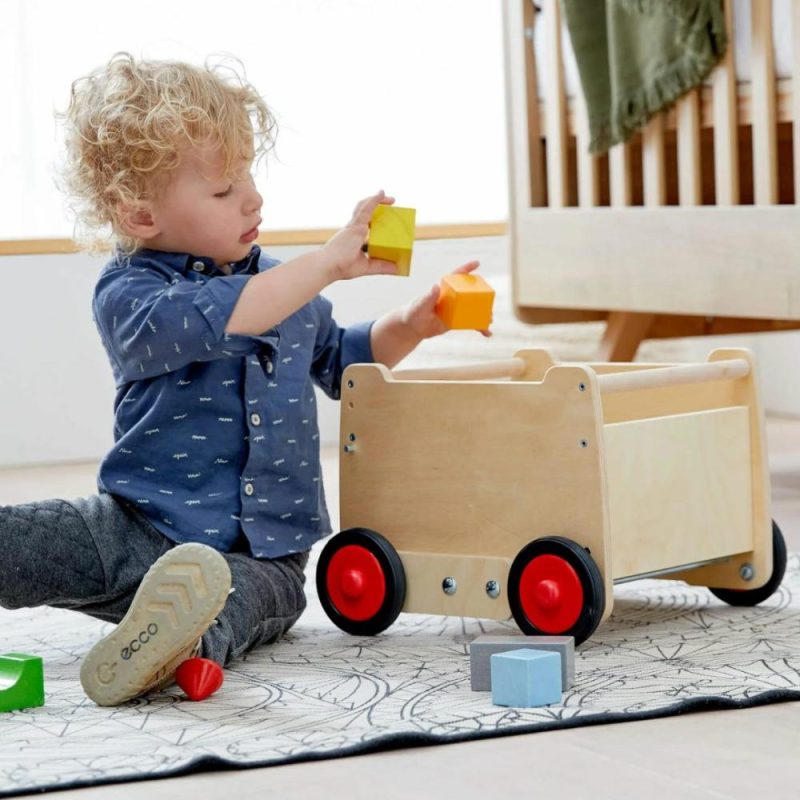 Developmental Toys | Dragon Wagon Baby Walker Developmental Toys Developmental Toys