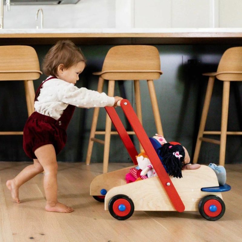 Developmental Toys | Walker Wagon Developmental Toys Developmental Toys