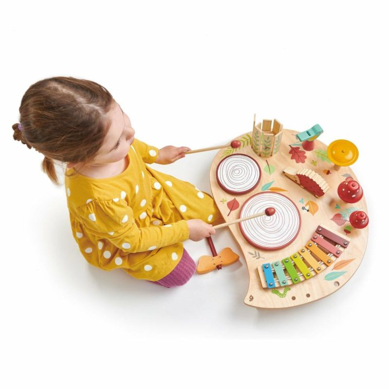 Developmental Toys | Wooden Musical Table Developmental Toys Developmental Toys