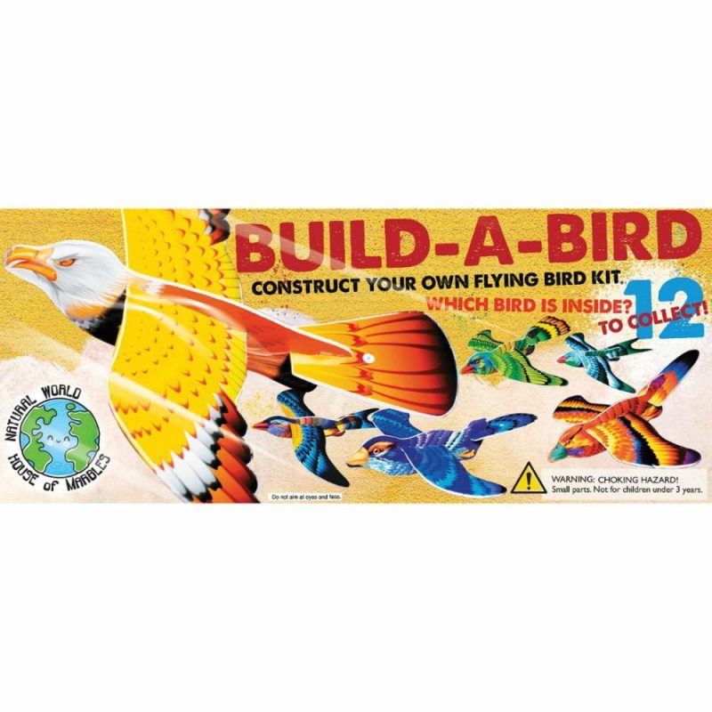 Games & Puzzles | Build A Bird Kit Games & Puzzles Games & Puzzles