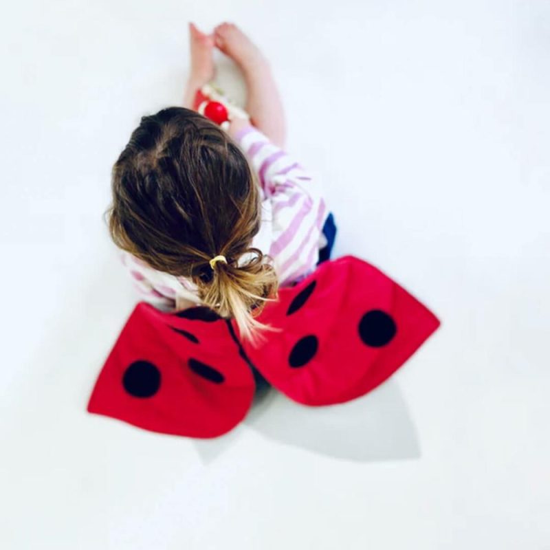 Pretend Play | Ladybug Wings Costume Pretend Play Pretend Play