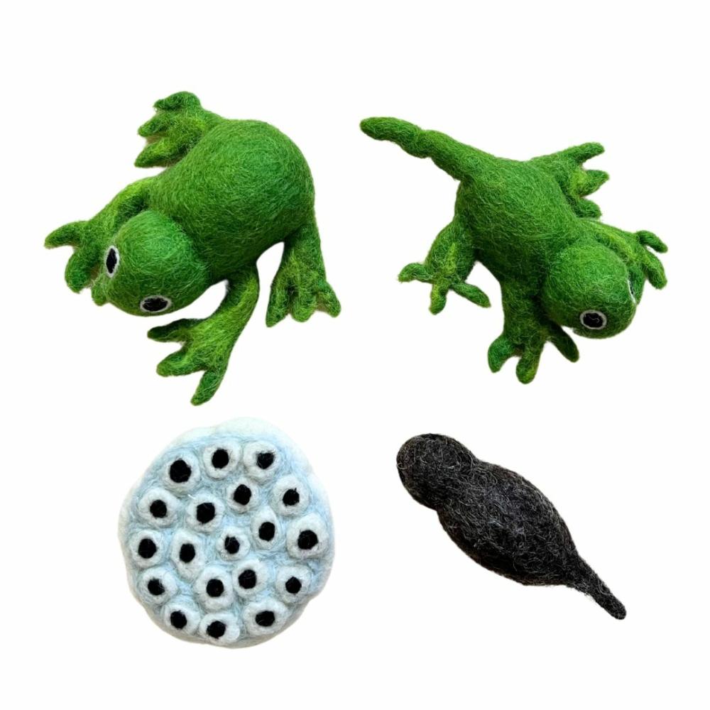 Waldorf Essentials | Felt Lifecycle Of A Frog Set Waldorf Essentials Waldorf Essentials