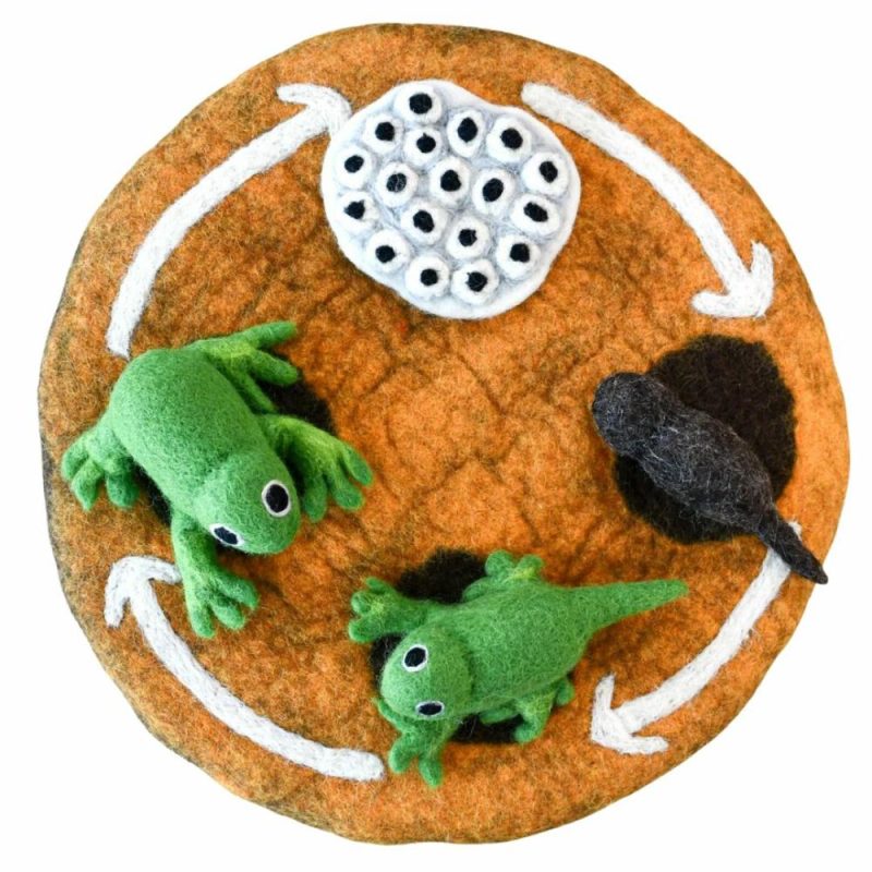 Waldorf Essentials | Felt Lifecycle Of A Frog Set Waldorf Essentials Waldorf Essentials