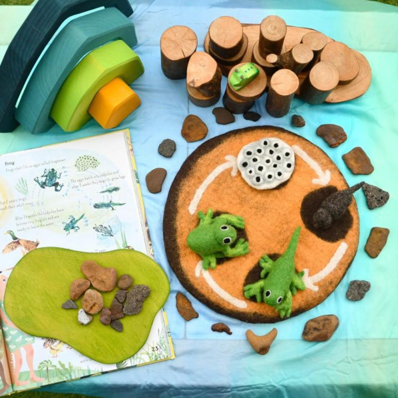 Waldorf Essentials | Felt Lifecycle Of A Frog Set Waldorf Essentials Waldorf Essentials