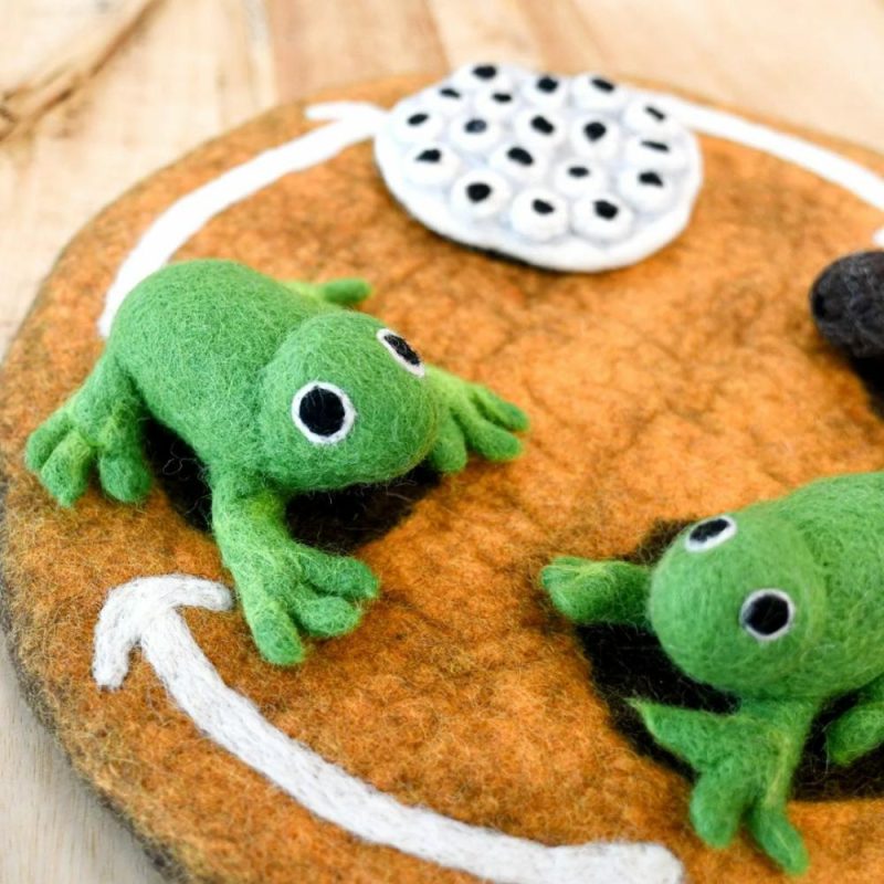 Waldorf Essentials | Felt Lifecycle Of A Frog Set Waldorf Essentials Waldorf Essentials