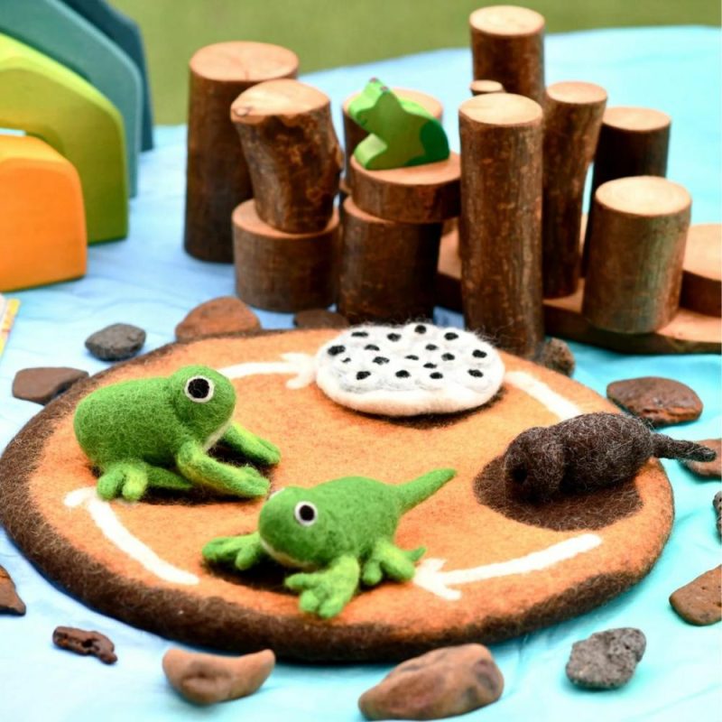 Waldorf Essentials | Felt Lifecycle Of A Frog Set Waldorf Essentials Waldorf Essentials