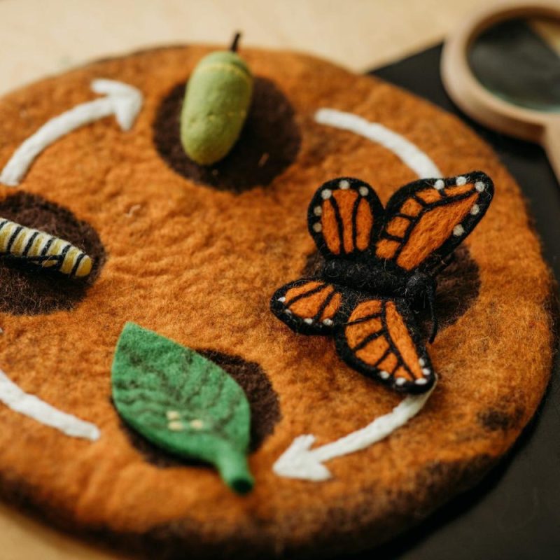 Waldorf Essentials | Felt Lifecycle Of The Monarch Butterfly Set Waldorf Essentials Waldorf Essentials