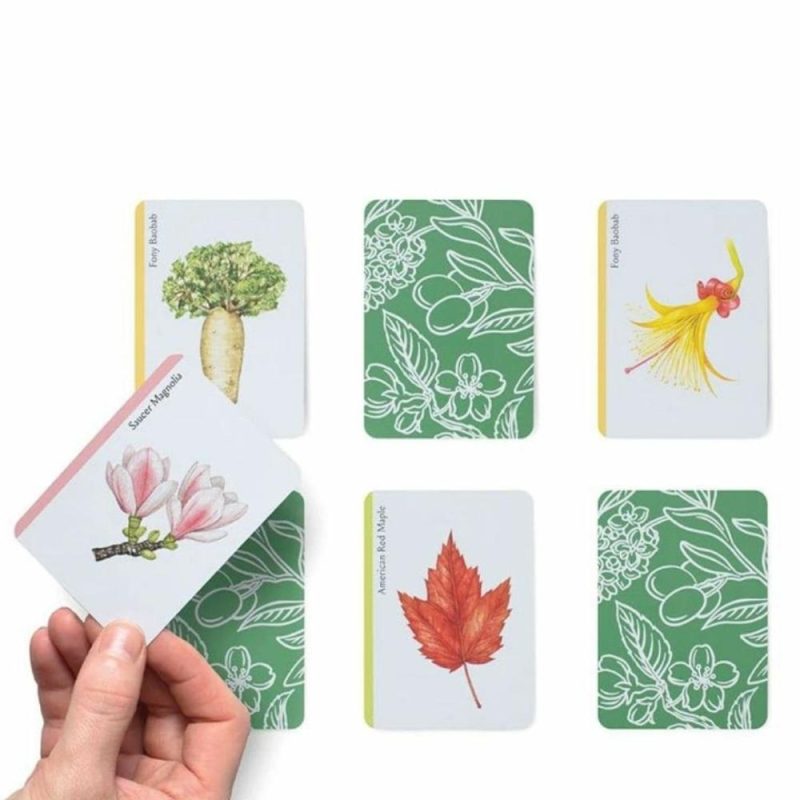 Games & Puzzles | Tree Families: A Botanical Card Game Games & Puzzles Games & Puzzles